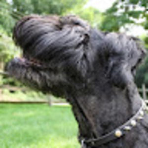 Meet your Posher, Cherie